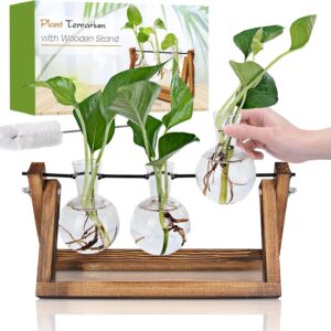 Renmxj Plant Propagation Station, Plant Terrarium with Wooden Stand, Unique Gardening Birthday for Women Plant Lovers, Home Office Garden Decor Planter - 3 Bulb Glass Vases