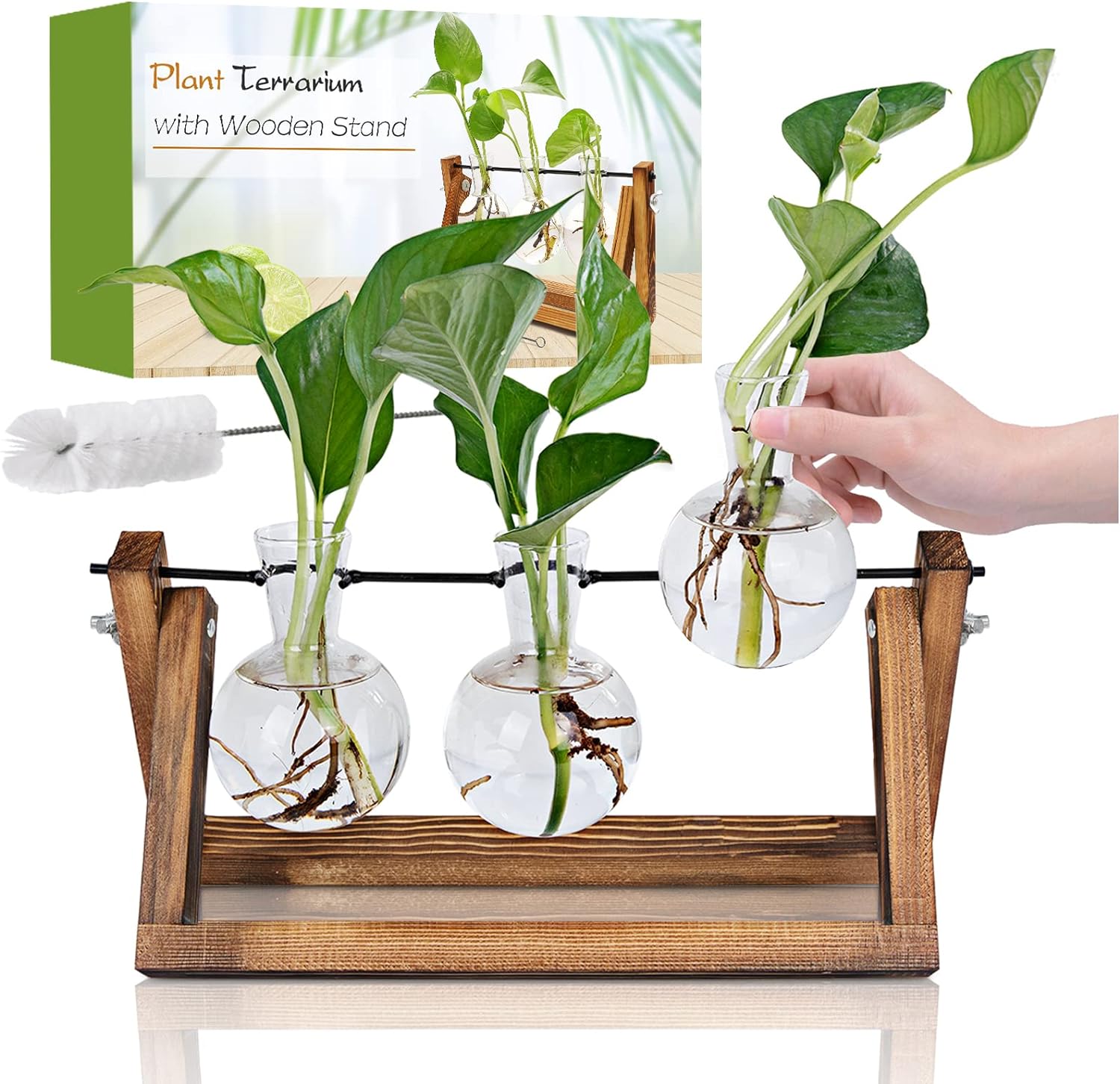 Renmxj Plant Propagation Station, Plant Terrarium with Wooden Stand, Unique Gardening Birthday for Women Plant Lovers, Home Office Garden Decor Planter - 3 Bulb Glass Vases