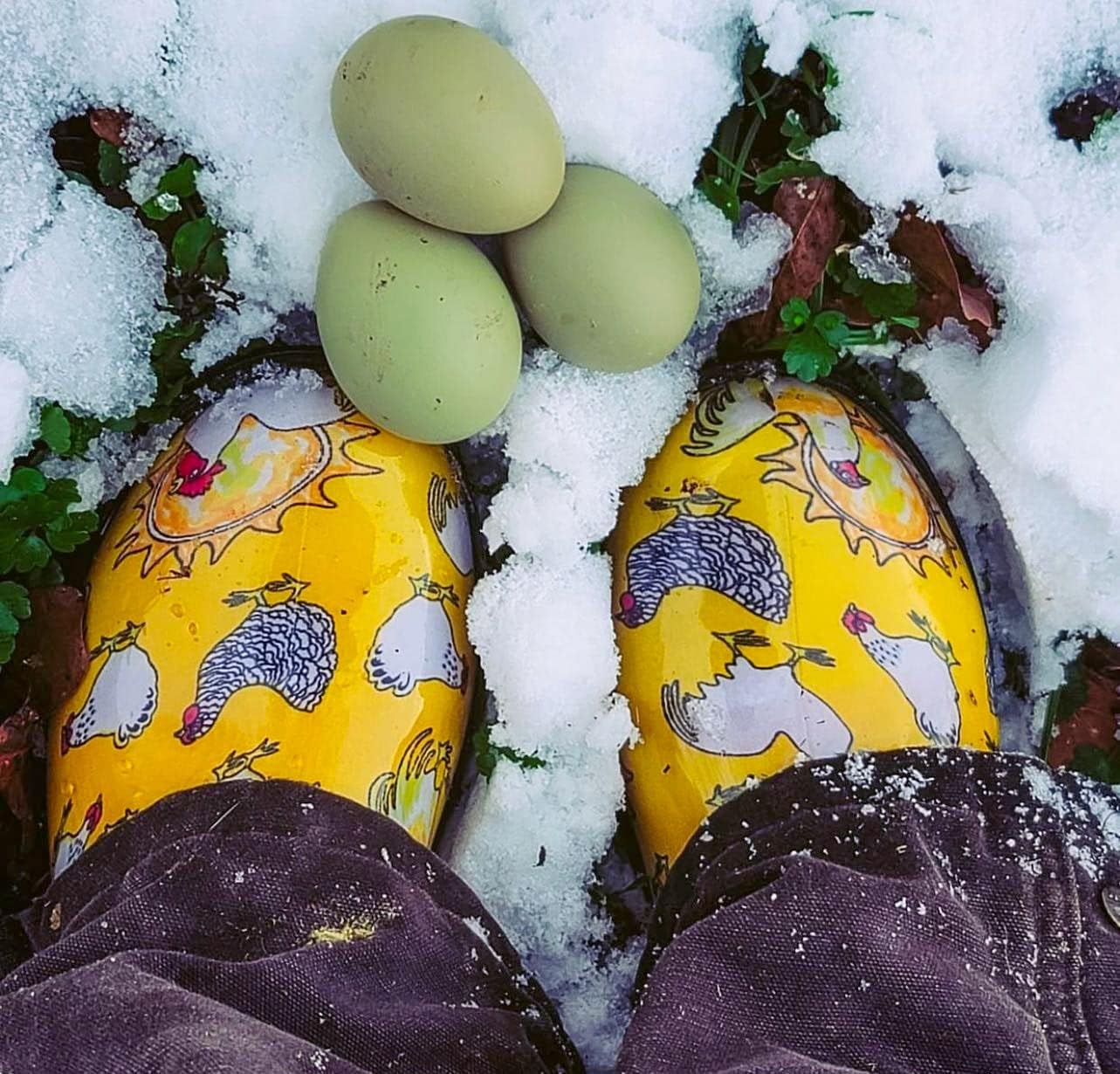 Sloggers Waterproof Garden Shoe for Women – Outdoor Slip On Rain and Garden Clogs with Premium Comfort Insole, (Chickens Daffodil Yellow), (Size 8) - Image 3